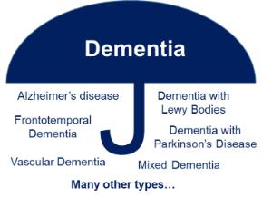 IDEAL-2 umbrella term image